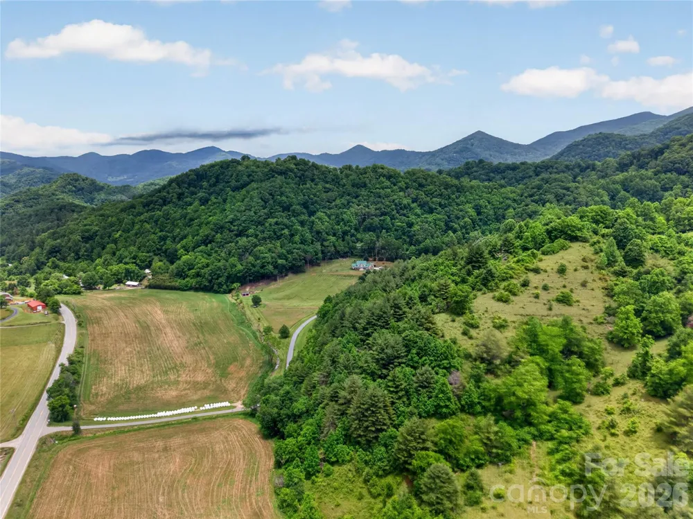 227 Black Bear Cove Clyde, NC 28721