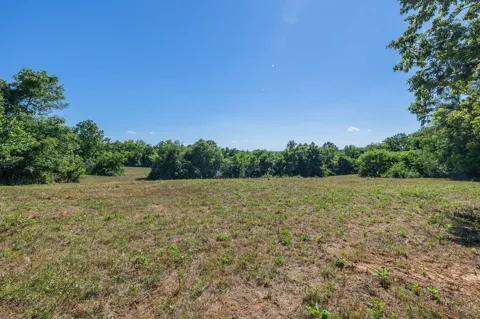 1033 Bugscuffle Road