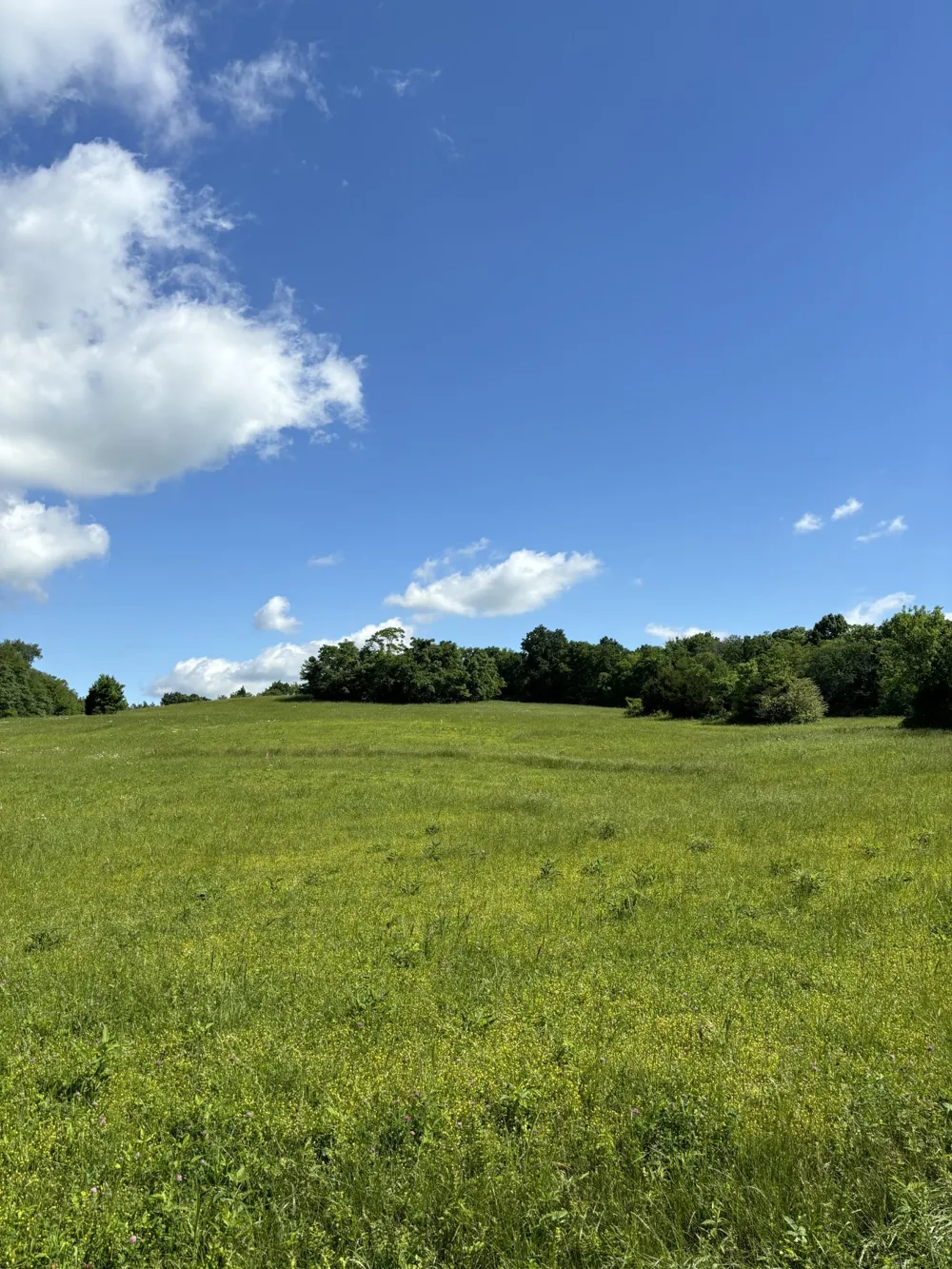 1093 Bugscuffle Road Wartrace, TN 37183