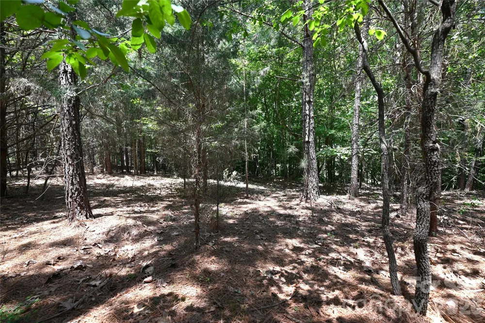 136 Oak Point Lane #36 Stony Point, NC 28678