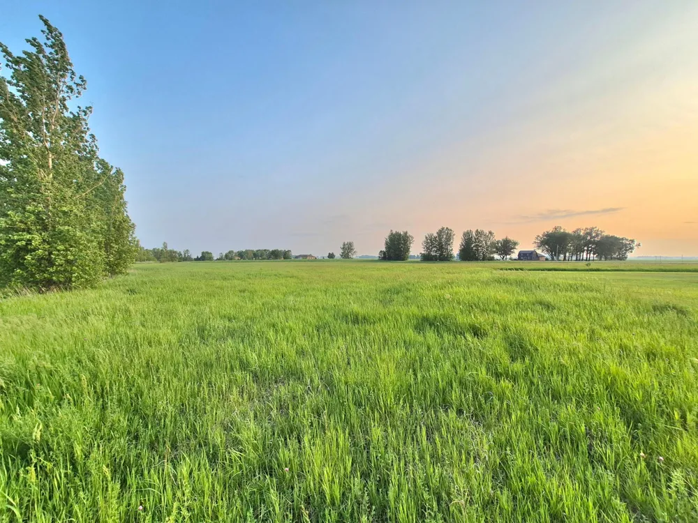 XXX Frenzel Drive Arlington, MN 55307