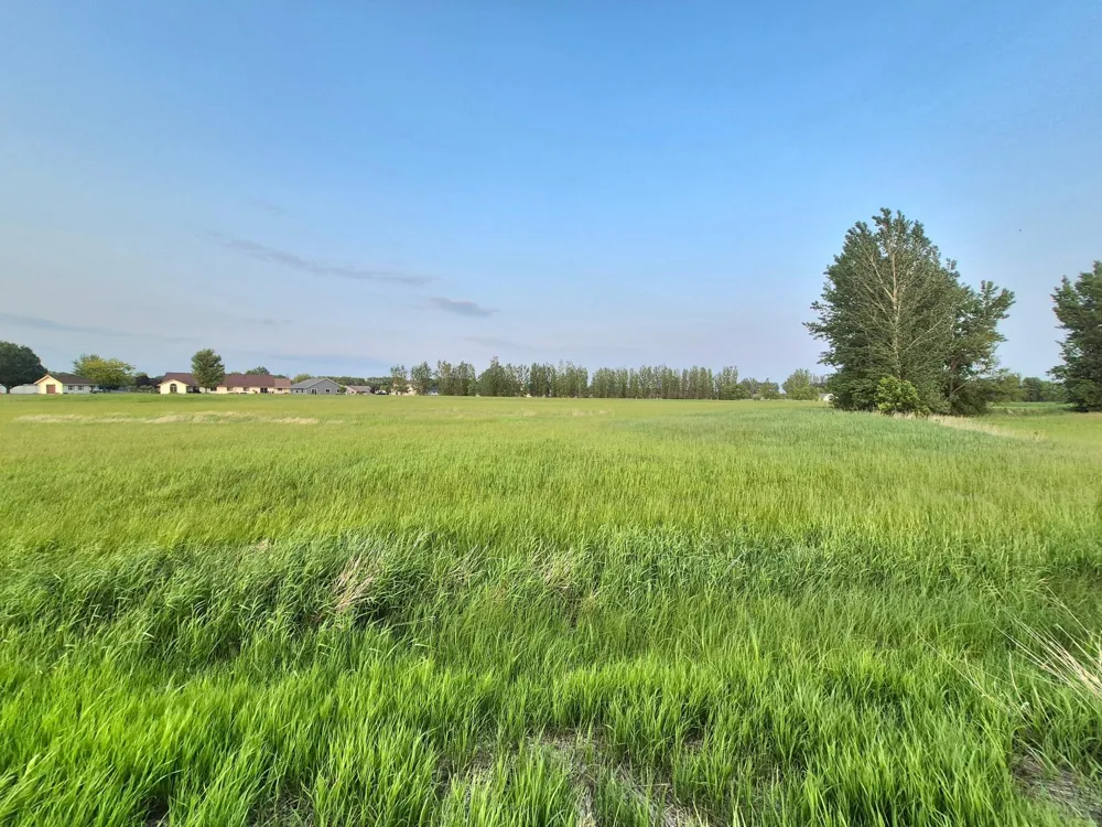 XXX Frenzel Drive Arlington, MN 55307