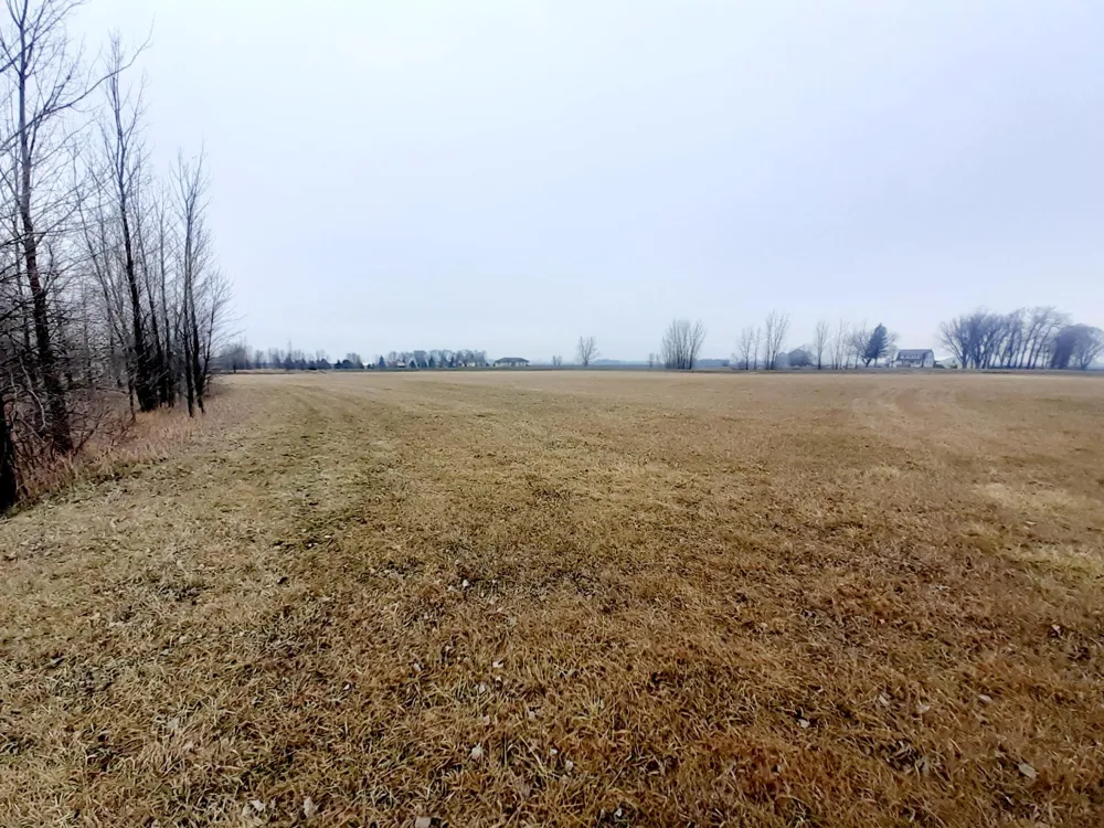 XXX Frenzel Drive Arlington, MN 55307