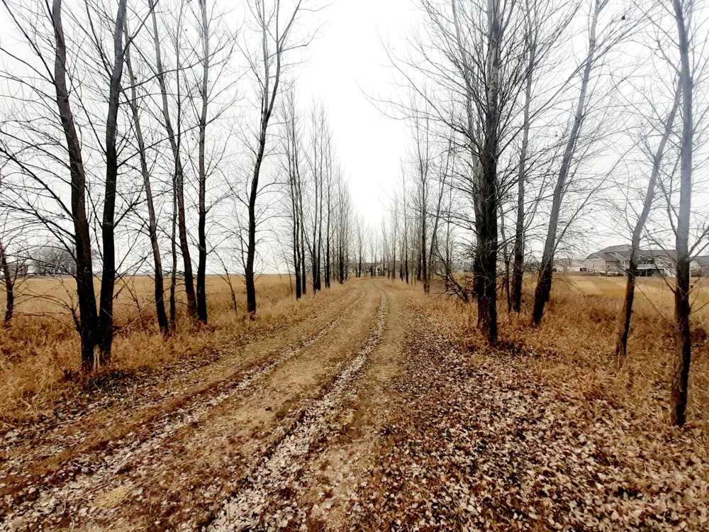 XXX Frenzel Drive Arlington, MN 55307