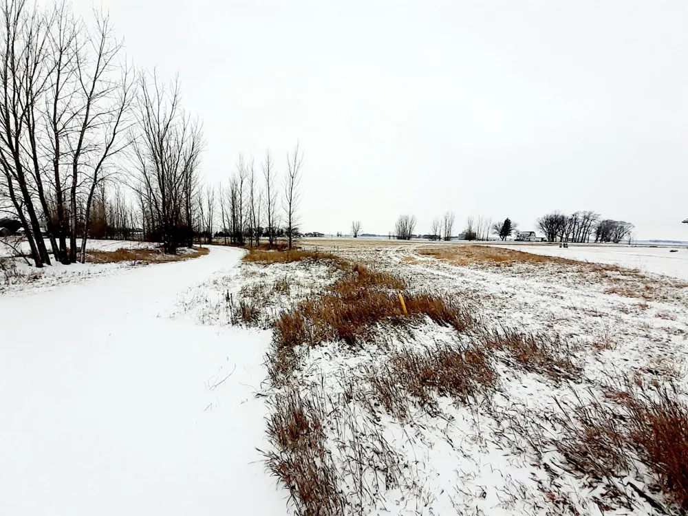 XXX Frenzel Drive Arlington, MN 55307