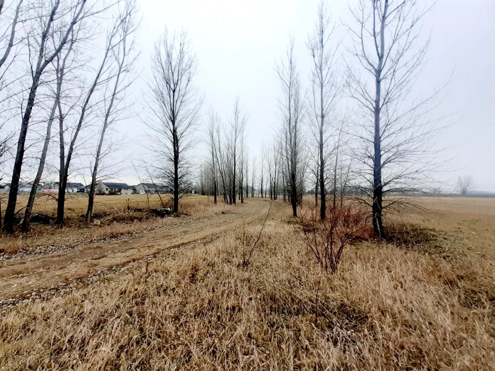 XXX Frenzel Drive Arlington, MN 55307