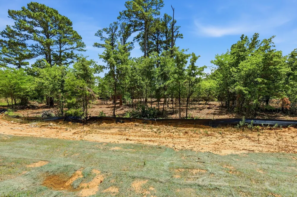 1121 Redbird Grove Road Argyle, TX 76226
