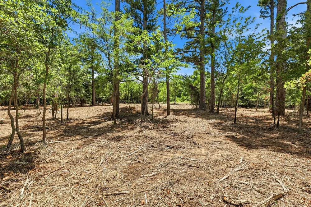 1121 Redbird Grove Road Argyle, TX 76226