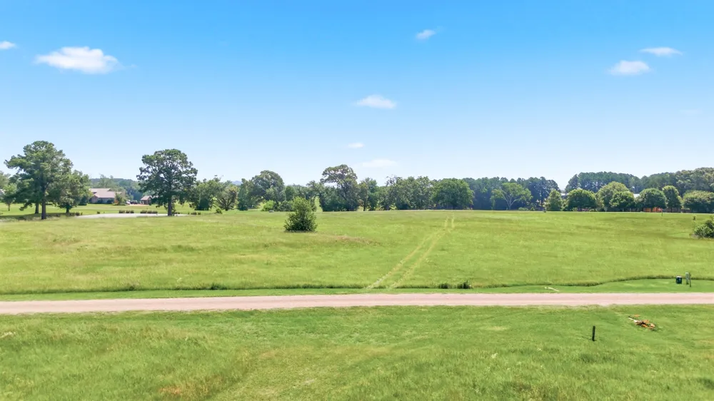 Caddo Creek Circle Larue, TX 75770