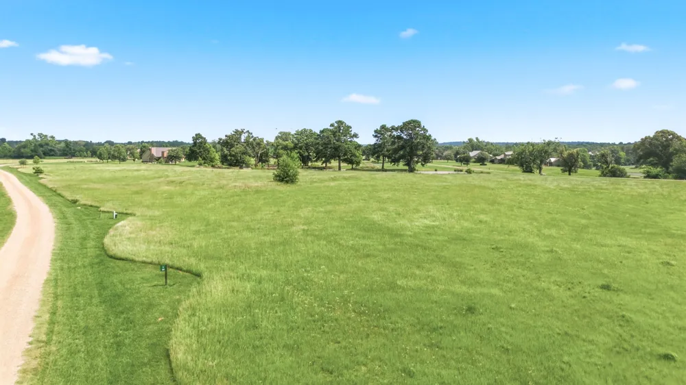 Caddo Creek Circle Larue, TX 75770