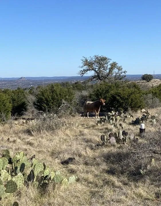 Crown Lane Burnet, TX 78611