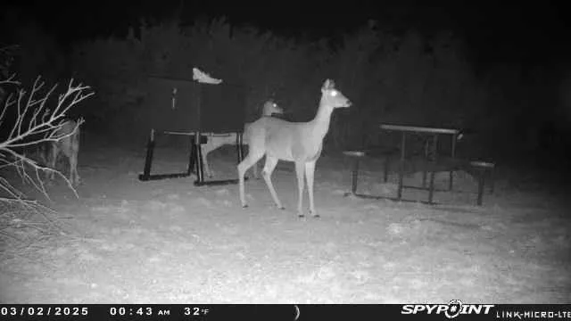 Crown Lane Burnet, TX 78611