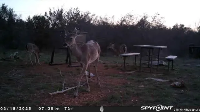 Crown Lane Burnet, TX 78611