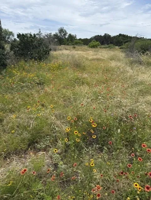 Crown Lane Burnet, TX 78611