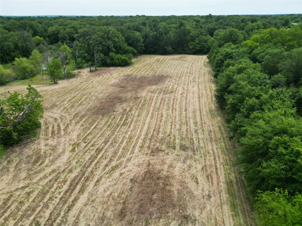 County Road 3371 Saltillo, TX 75478