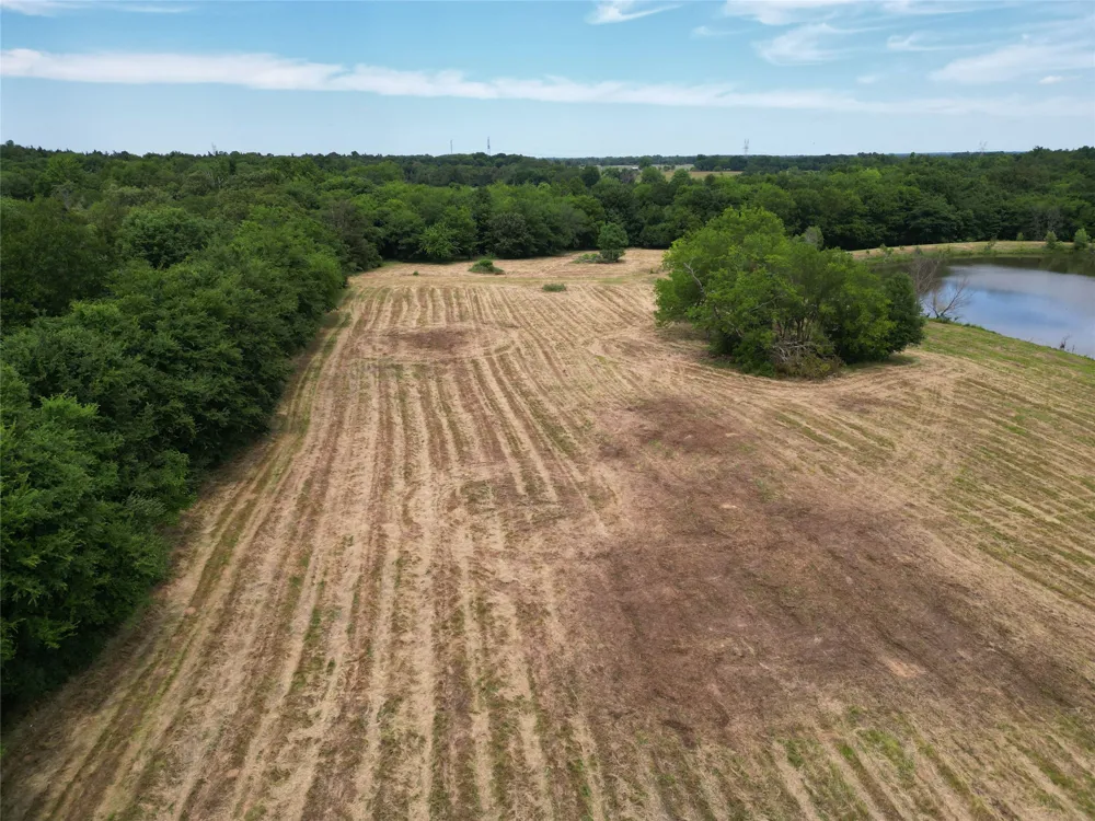 County Road 3371 Saltillo, TX 75478