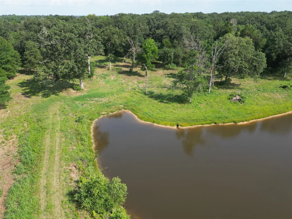 County Road 3371 Saltillo, TX 75478
