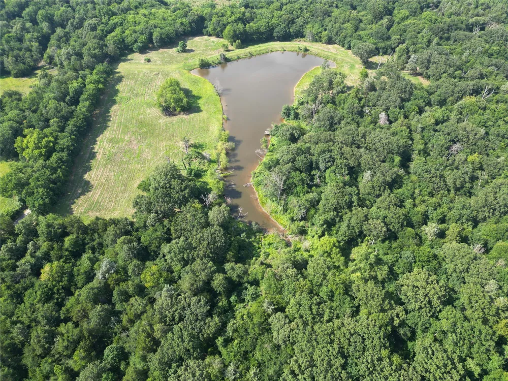 County Road 3371 Saltillo, TX 75478
