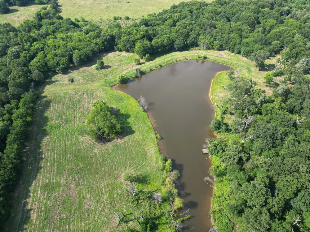 County Road 3371 Saltillo, TX 75478