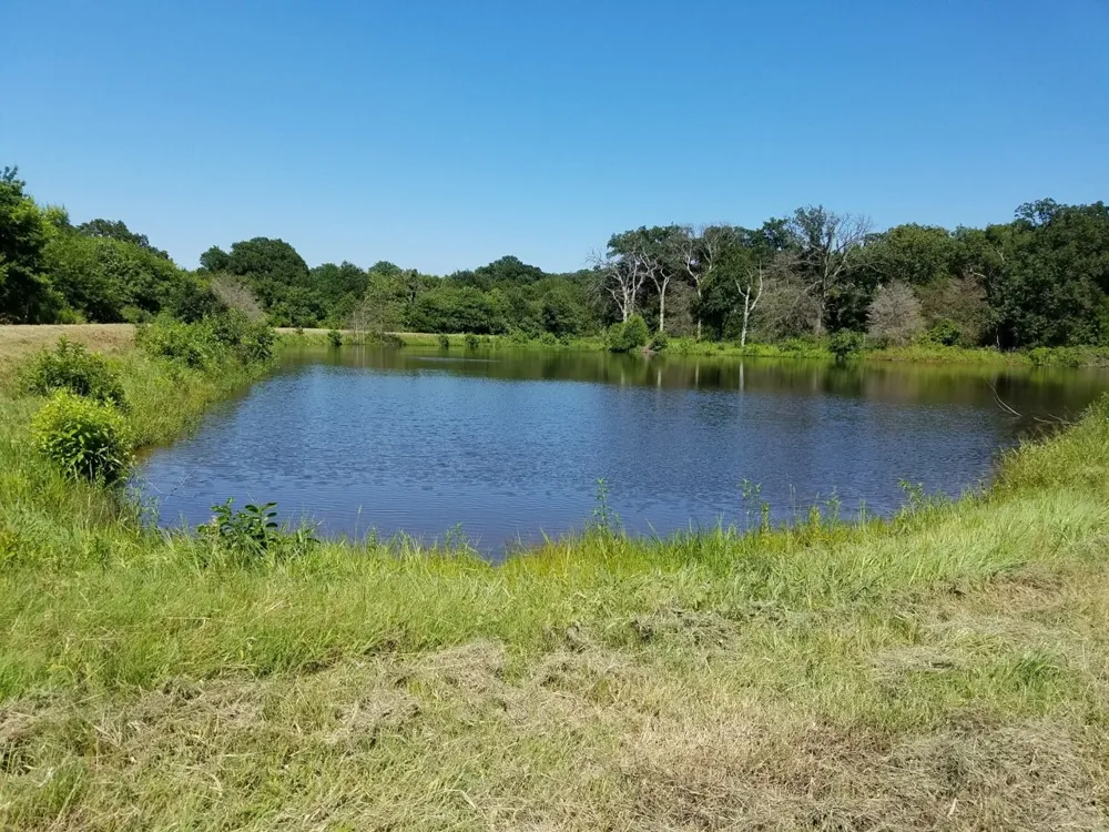 County Road 3371 Saltillo, TX 75478