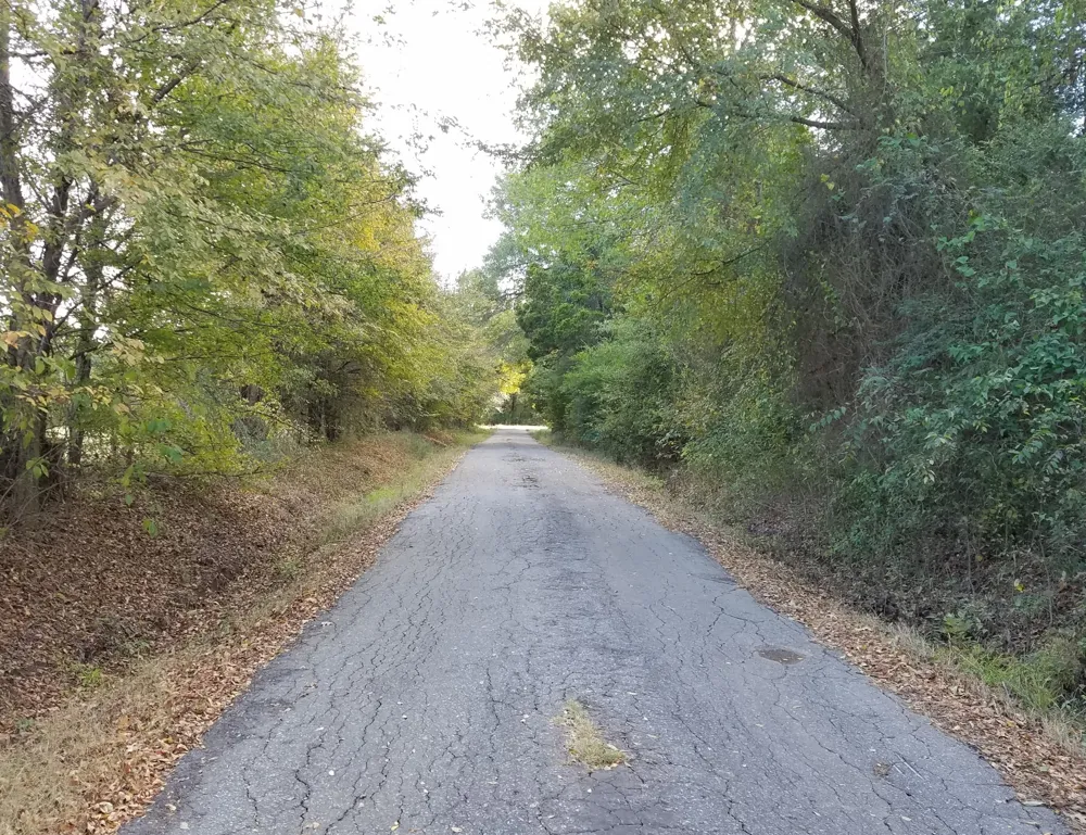County Road 3371 Saltillo, TX 75478