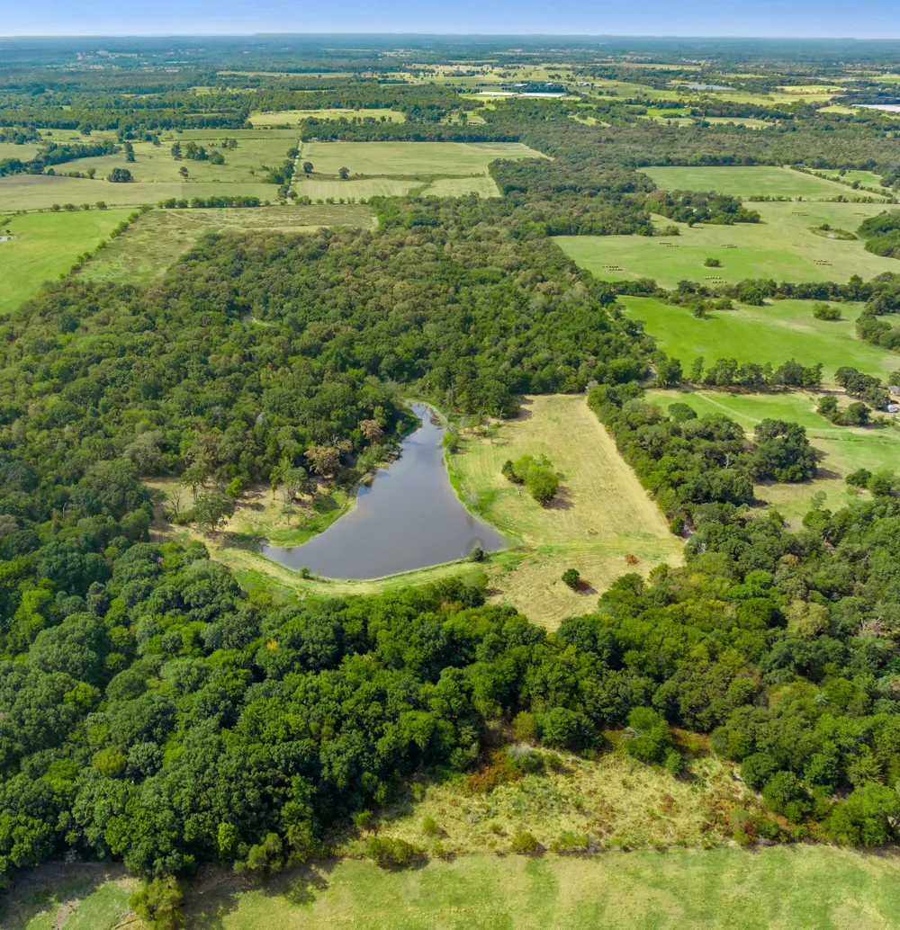 County Road 3371 Saltillo, TX 75478