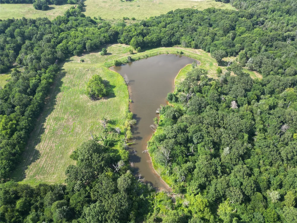 County Road 3371 Saltillo, TX 75478