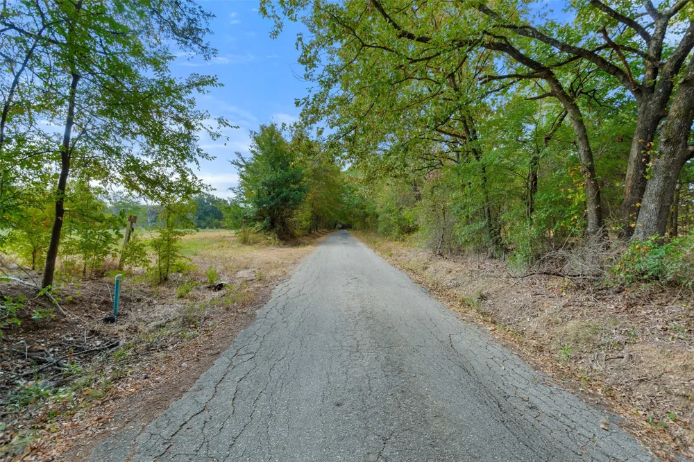 County Road 3371 Saltillo, TX 75478