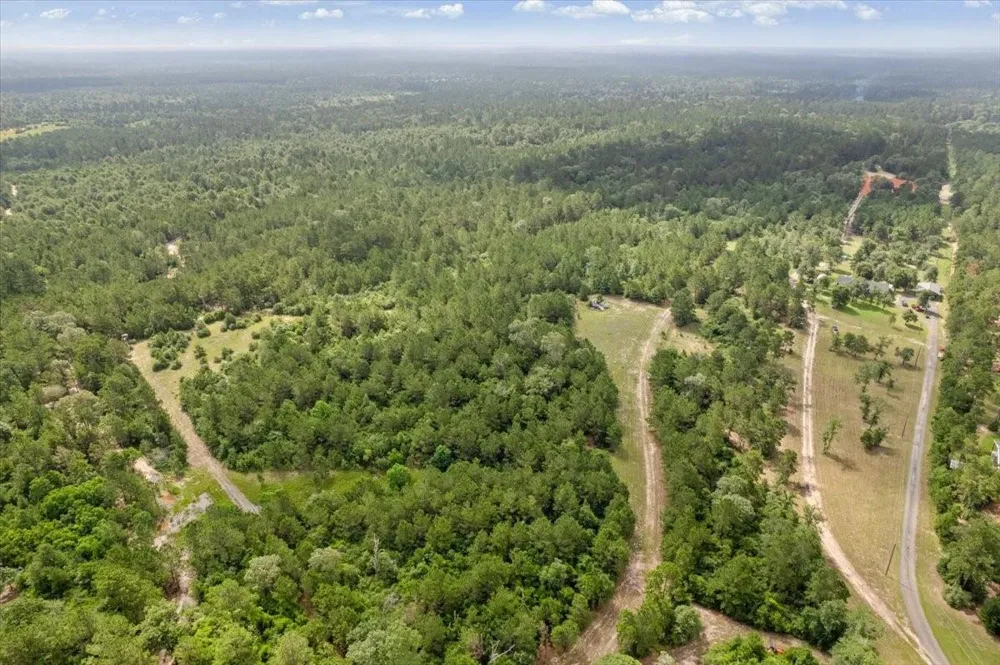 1 County Road 302 Plantersville, TX 77363