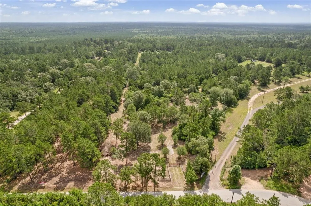 1 County Road 302 Plantersville, TX 77363