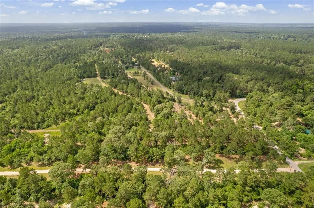 1 County Road 302 Plantersville, TX 77363