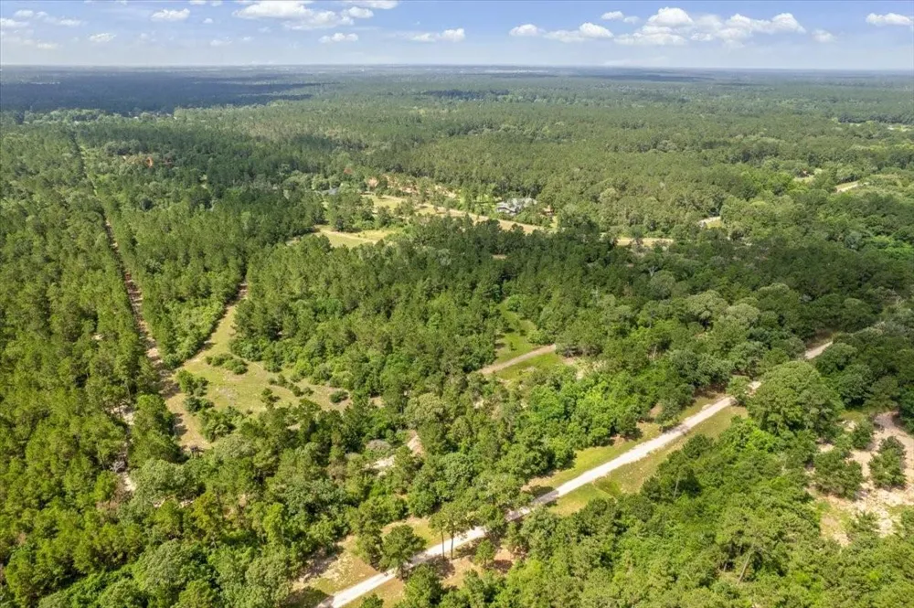 1 County Road 302 Plantersville, TX 77363