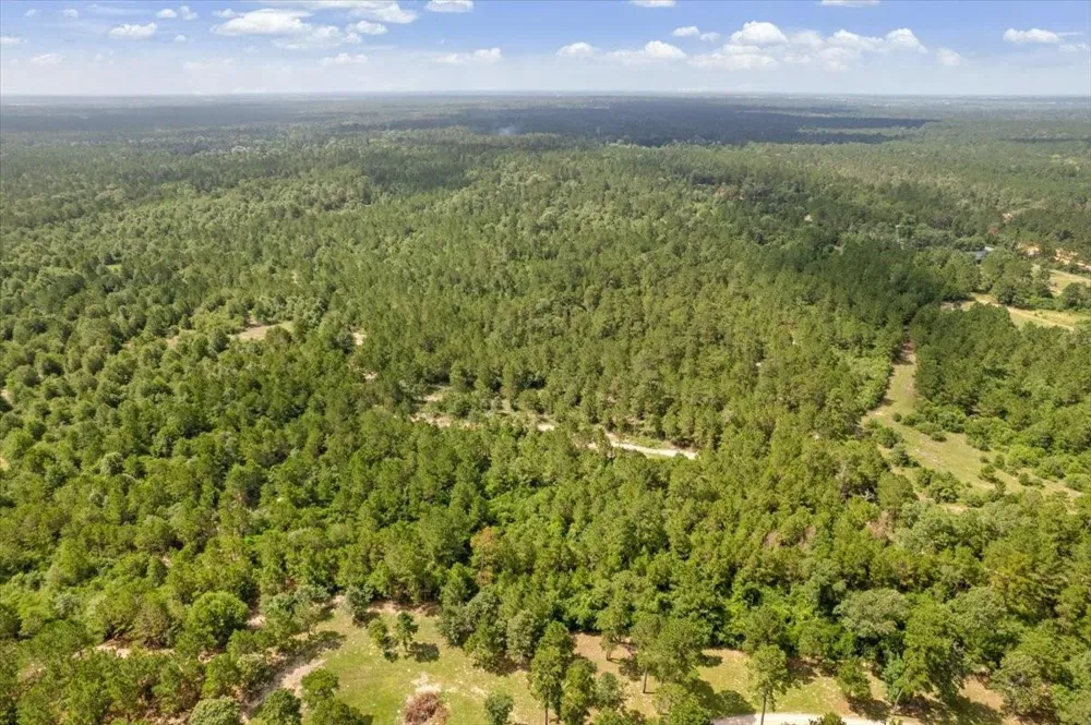 1 County Road 302 Plantersville, TX 77363