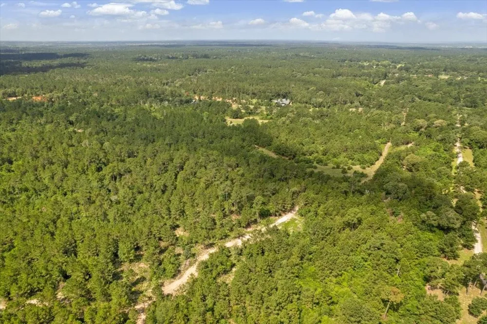 1 County Road 302 Plantersville, TX 77363
