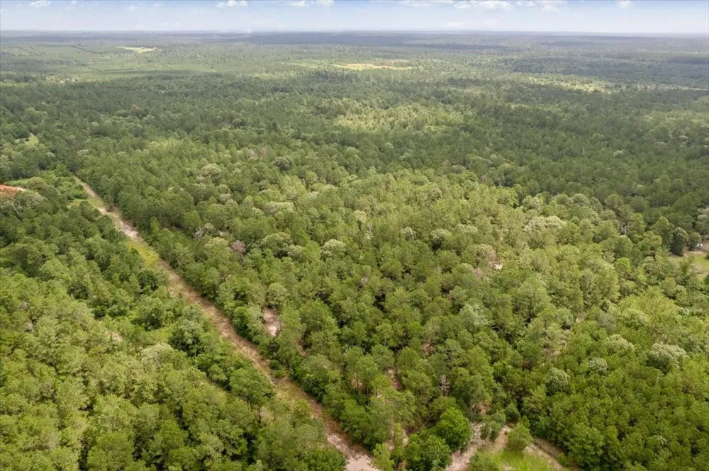 1 County Road 302 Plantersville, TX 77363
