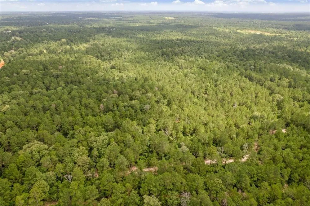 1 County Road 302 Plantersville, TX 77363