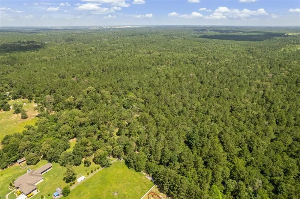 1 County Road 302 Plantersville, TX 77363