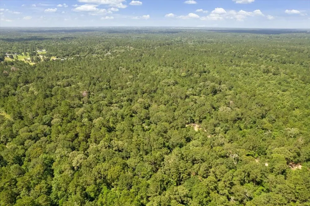 1 County Road 302 Plantersville, TX 77363