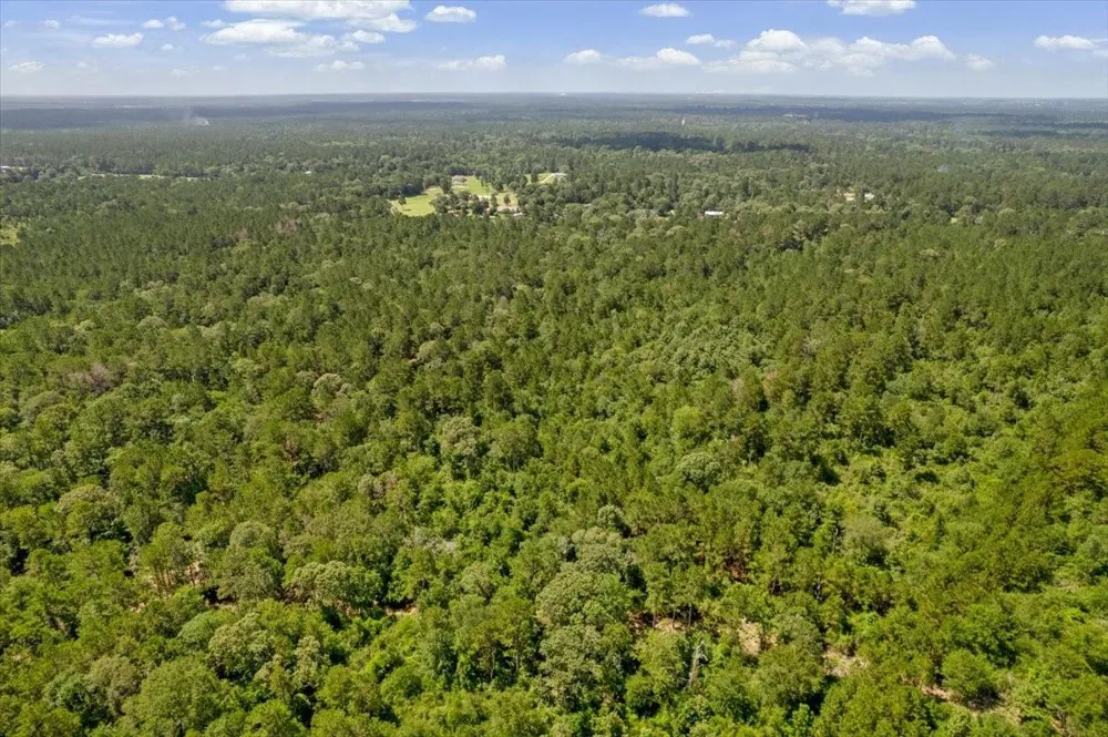 1 County Road 302 Plantersville, TX 77363