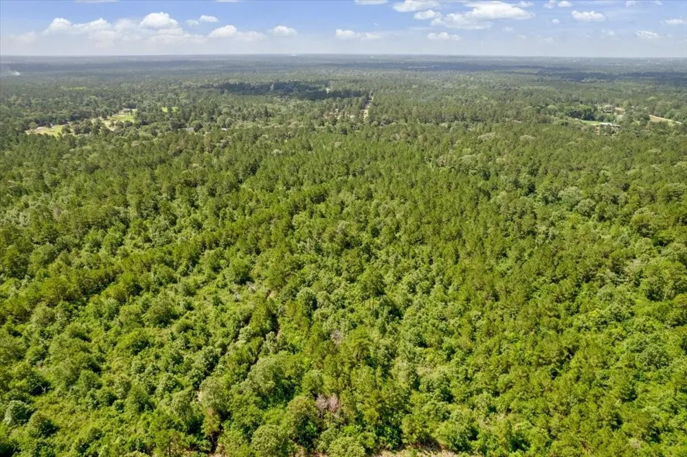 1 County Road 302 Plantersville, TX 77363