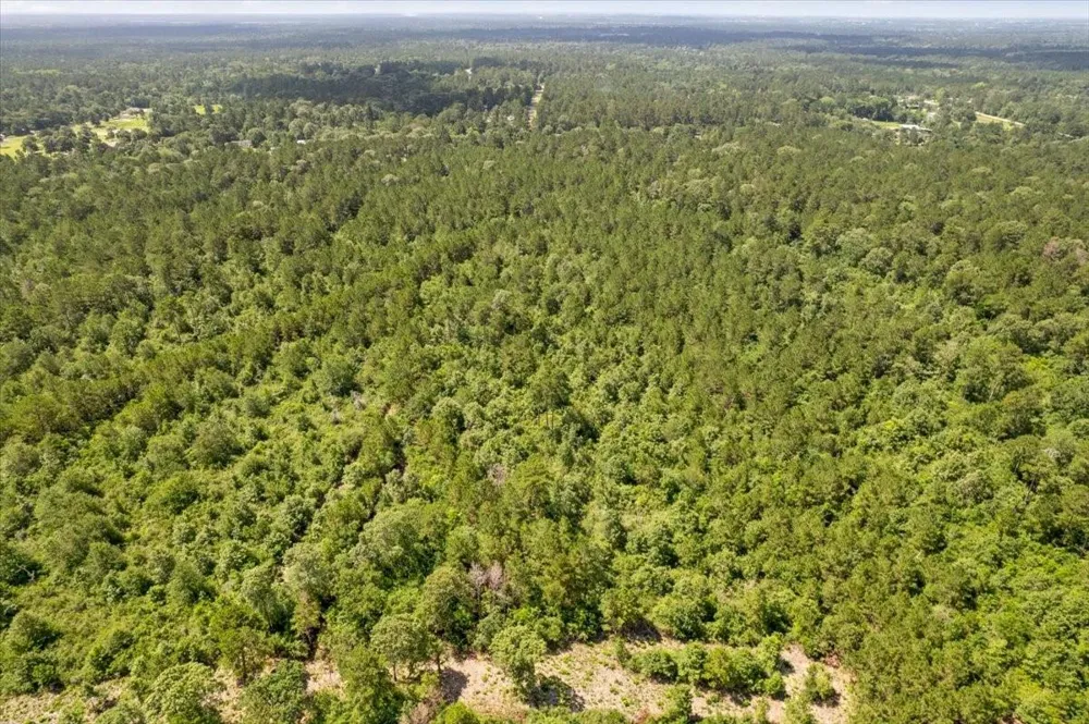 1 County Road 302 Plantersville, TX 77363