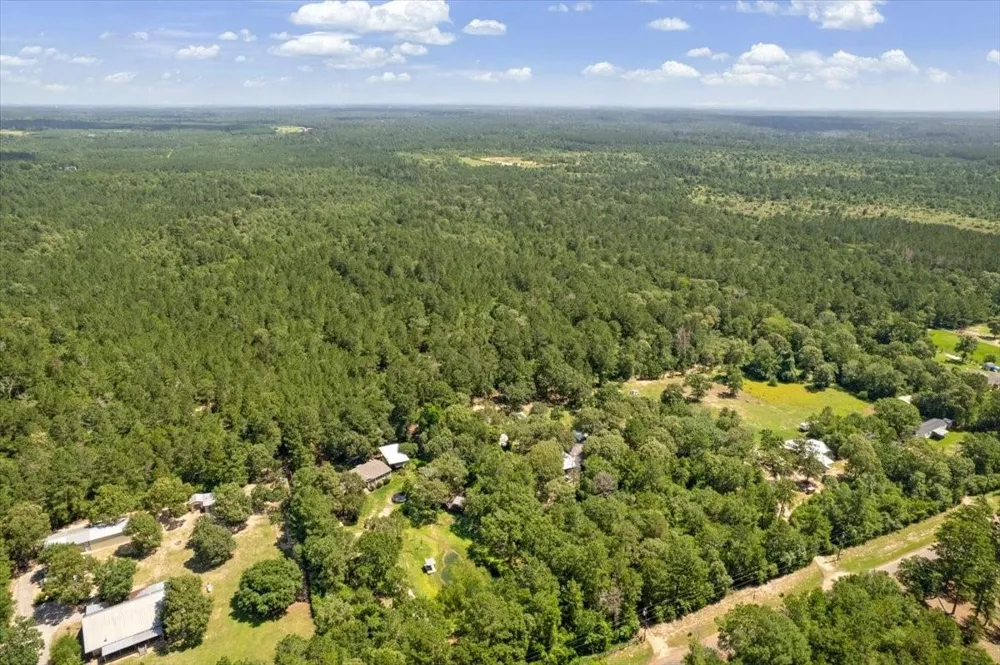 1 County Road 302 Plantersville, TX 77363
