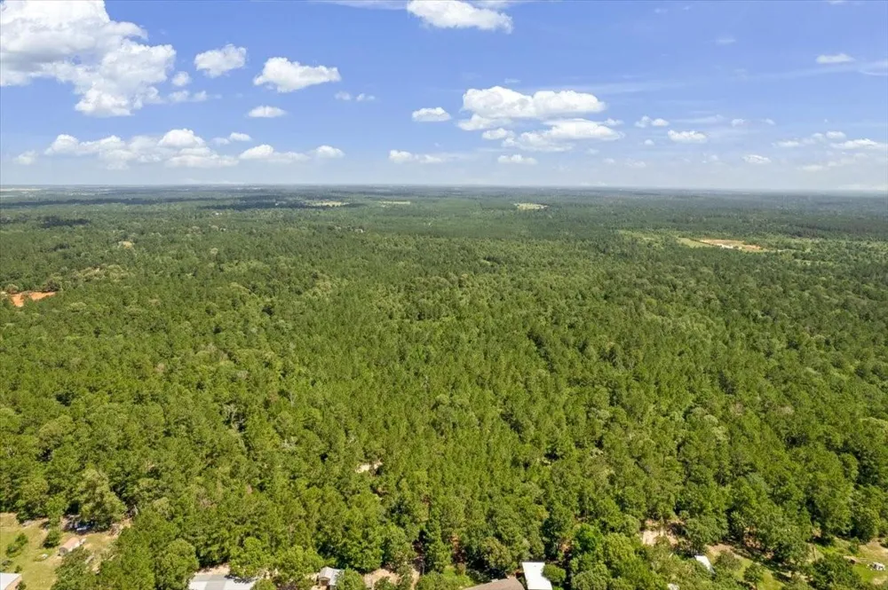 1 County Road 302 Plantersville, TX 77363
