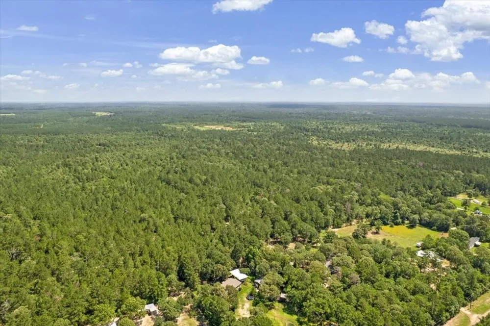 1 County Road 302 Plantersville, TX 77363