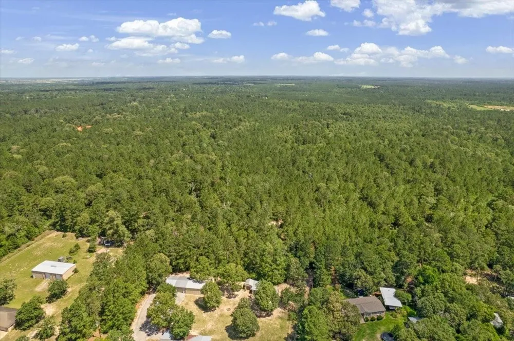1 County Road 302 Plantersville, TX 77363