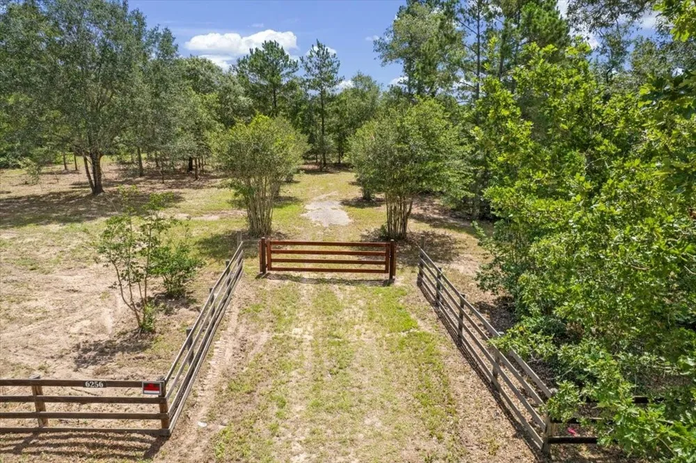 1 County Road 302 Plantersville, TX 77363