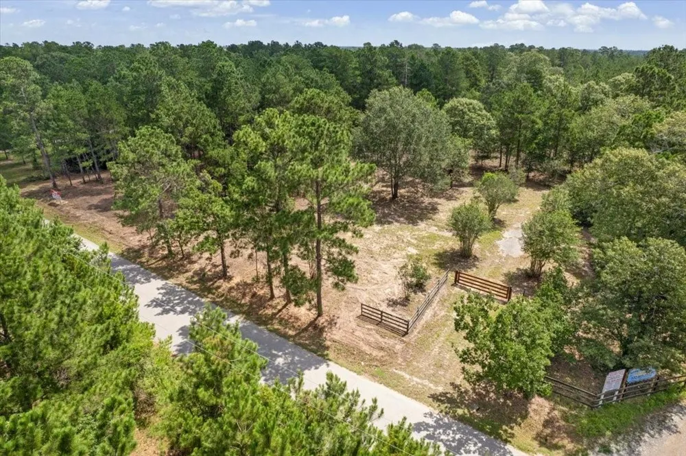 1 County Road 302 Plantersville, TX 77363