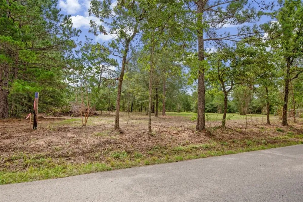 1 County Road 302 Plantersville, TX 77363