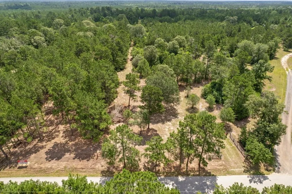 1 County Road 302 Plantersville, TX 77363
