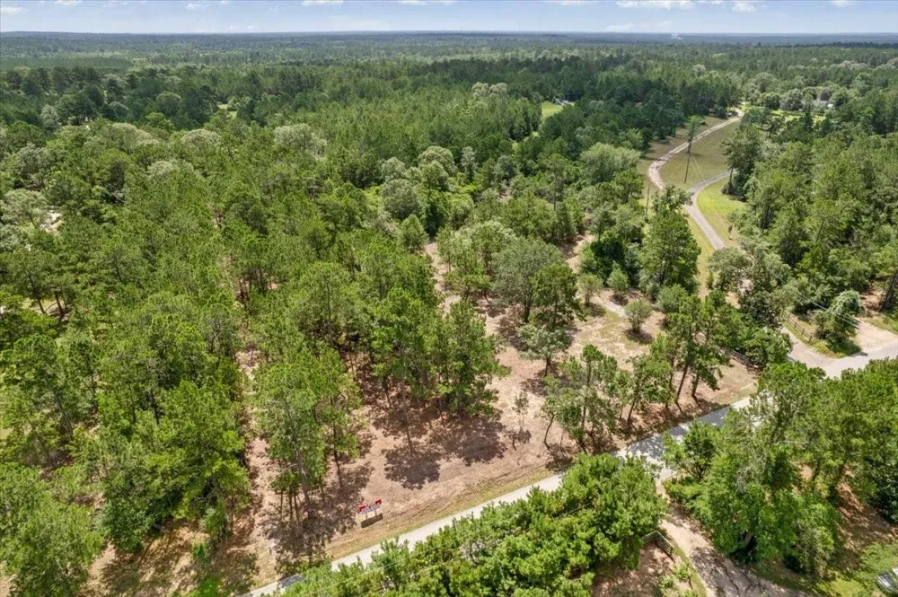 1 County Road 302 Plantersville, TX 77363